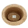 Chapeau Porkpie Maui Paille Naturelle - Traclet Reference : 18085 | Chapellerie Traclet