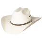 Englewood FULL CLIP hat - Bullhide