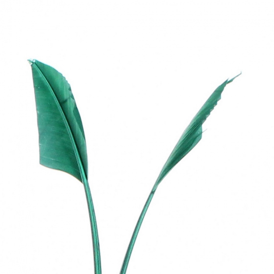 Bibi Hat - Zita Green Felt Headband - Traclet