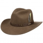 Brown Wool Vitafelt Western Hat - Stetson