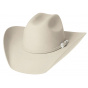 Silvertone Beige Western Hat - Country