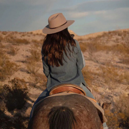 Brown Wool Felt Traveler Banjo Hat - Conner