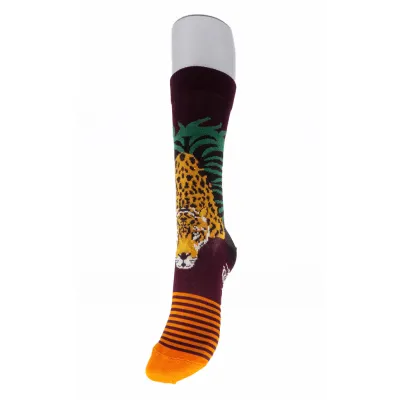 Chaussettes Homme Fantaisie - Berthe Référence : 14891