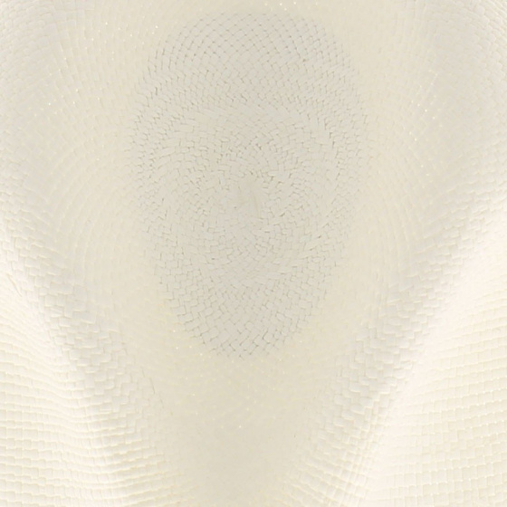 Chapeau Panama homme