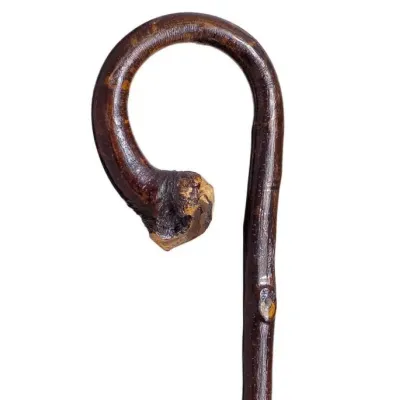 Curved Chestnut Wood Hiking Stick Brown - Traclet Reference: 20293| Traclet Hat Shop
