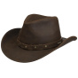 Stetson Brown Leather Western Newton Hat