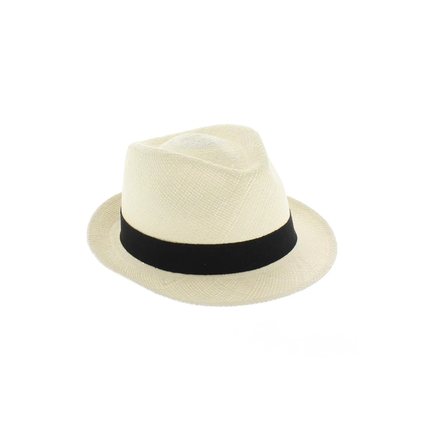 trilby panama hat