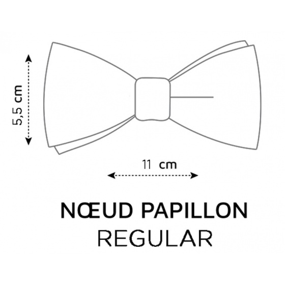 Nœud Papillon Rouge Rouille uni lin  - Le Coq En Pap