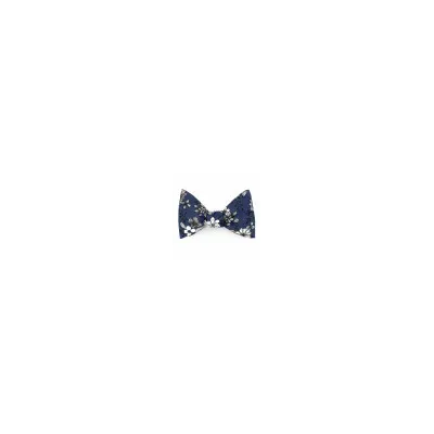 Teal Linen Bow Tie - Le Coq En Pap Reference: 17707 | Chapellerie Traclet