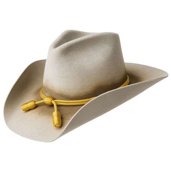 copy of Confederate officer hat - Wegener