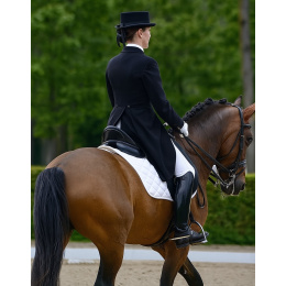 10 cm dressage hat