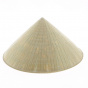 Chinese hat