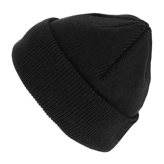 Bard Thinsulate Black Beanie - Traclet