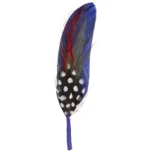Hat Trim - Blue Feather Reference: 23086| Chapellerie Traclet
