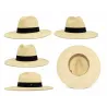 Chapeau Fedora Robbins Panama Larges Bords - Traclet  Reference : 20320| Chapellerie Traclet