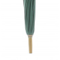 Green Shepherd's Umbrella