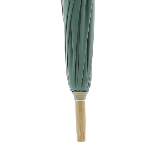 Parapluie de Berger vert Parapluie de Berger vert