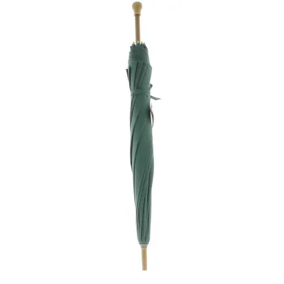 Parapluie de Berger vert