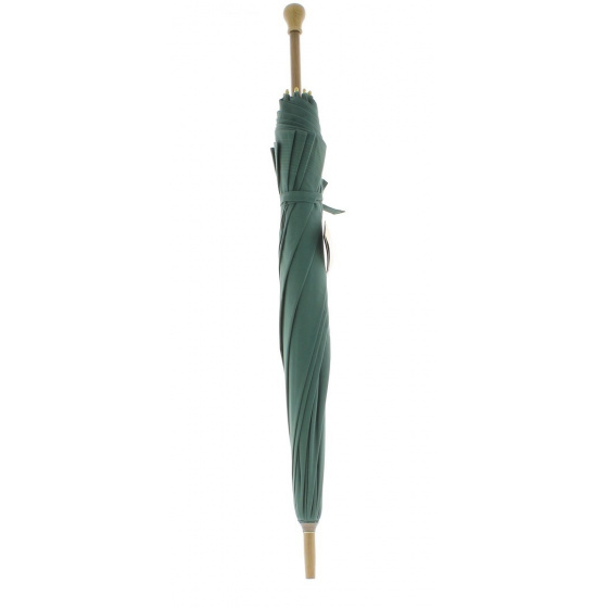 Green Shepherd's Umbrella