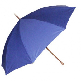 Parapluie de Berger