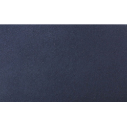 Navy fedora hat