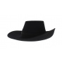 Chapeau d'Artagnan