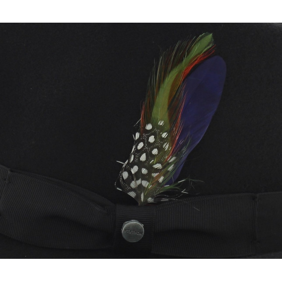 Chapeau Elkader Noir Trilby Stetson
