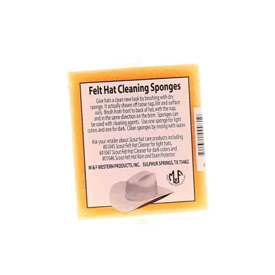 Sponge - felt hat cleaning Reference: 4578 | Traclet Hat Shop