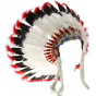 Native American headdress