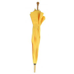 Yellow Shepherd's Umbrella
