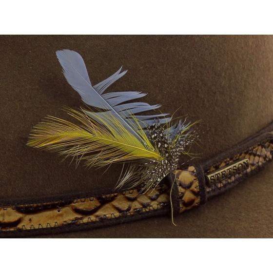 Chapeau Chalco Marron vitafelt - Stetson