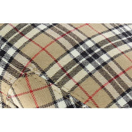 Burberry Style Cap