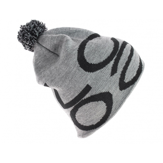 Coal The Logo Heather Grey Beanie