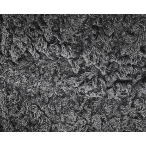 Karakul Hat - Toque Astrakan Karakul Hat - Toque Astrakan