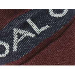 The Team heather burgundy Coal Beanie