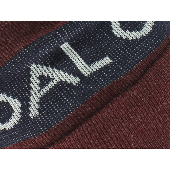 The Team heather burgundy Coal Beanie