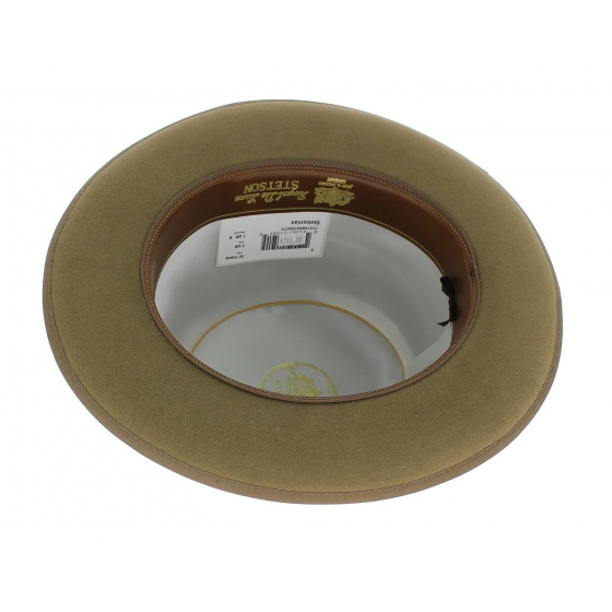 Chapeau fedora - Stetsonian Stetson