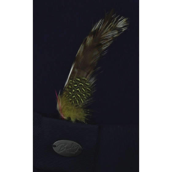 Cloyd Trilby Hat - Bailey hats