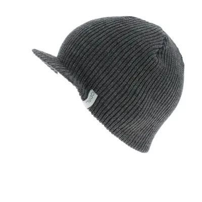 The Basic Charcoal Beanie Coal Reference: 4173 | Traclet Hat Shop