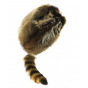 Tennessee Raccoon Trapper Hat - Gena