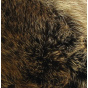 Tennessee Trapper Hat Raccoon - Gena
