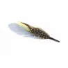 Yellow hat feather - feather Reference: 2161 | Traclet Hat Shop