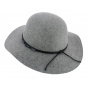 Sarine Felt grey wool floppy hat - Barts