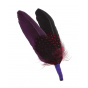 Hat Trim - Purple-black Feather