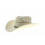 hat Silver City