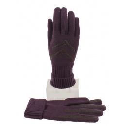 Women's Purple & Brown Acrylic Gloves - Isotoner