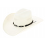 Bullhide Justin Moore Small Town USA Hat