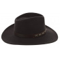 Traveller Sanger Brown Wool Felt Hat - Stetson