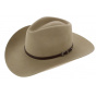 Alamosa Seneca Stetson Hat