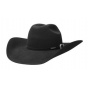 Cowboy Cattleman revolver Stetson hat